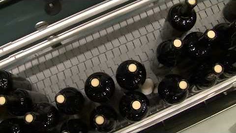 Wine Bottle Conveyor Egg Demo