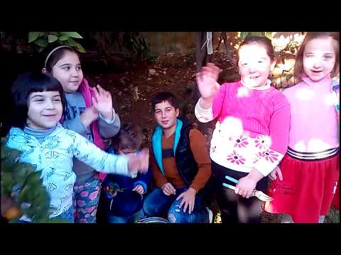 თეკლასთან  მანდარინების კრეფაზე.собираем мандарины