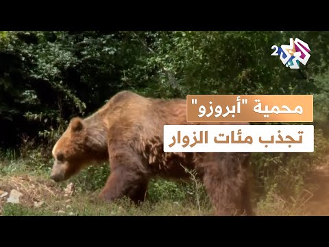 محمية أبروزو تجذب مئات الزوار لرؤية حيواناتها النادرة  وثائقي