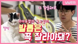 먀옹철이 부릅니다  Kill This 발톱