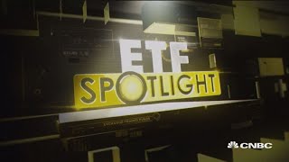 Investors seek quality stocks as volatility hits markets