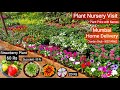 Plant Nursery Visit || Cheapest Plant Nursery || Plant Price with Names || Kalina Nursery, Mumbai