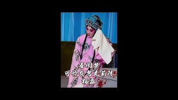 京剧 杨磊《春闺梦》“可怜负弩充前阵”选段#京剧 #戏曲 #谁说戏曲不抖音 #程派 #春闺梦