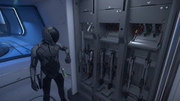 Star Citizen 4.0 weapons rack persistence(save your rare weapons on the weapons rack)