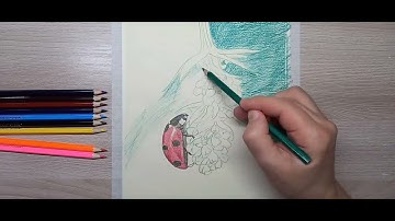 How to draw a ladybug. Drawing with colored pencils.