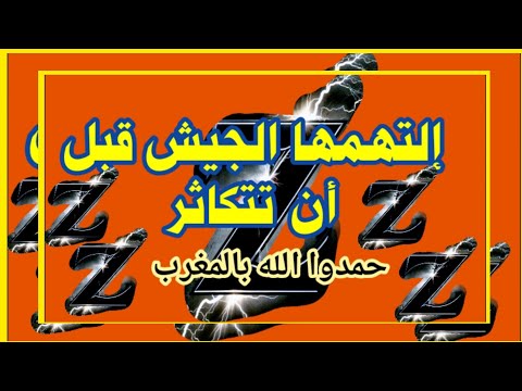 حمدو الله راكم في المغرب الجيش يلتهم جين  ويسيطر على الوضع في مدغشقر المغرب الصحراء
