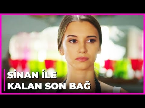 Pelin, Filiya'ya Veda Etti Tatlı İntikam 24 Bölüm