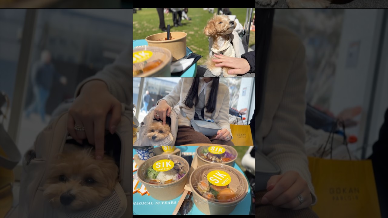 愛犬が快適に過ごせるように考えた大阪3DAYS🐶