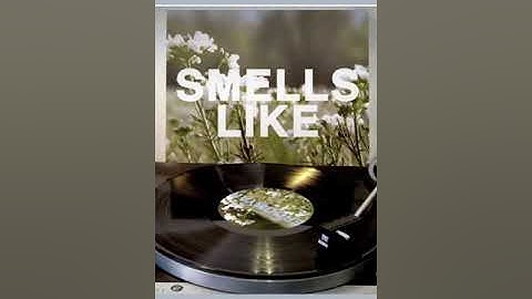 DIgging In The Crates 2 #eroomyar