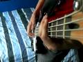 Muse - Undisclosed Desires Bass cover