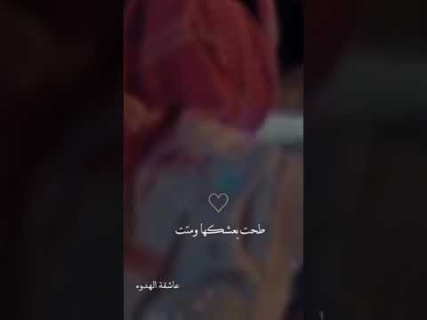 خلوها تلعب لعب بكلبي تستاهل زيد الحبيب ياسر عبد الوهاب