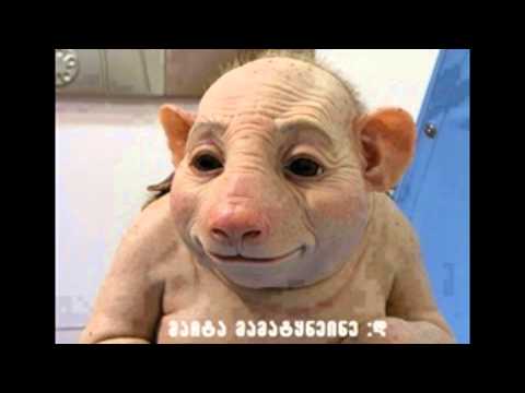 კარანდაშ სოიო-დედას შვილი დაეწვა