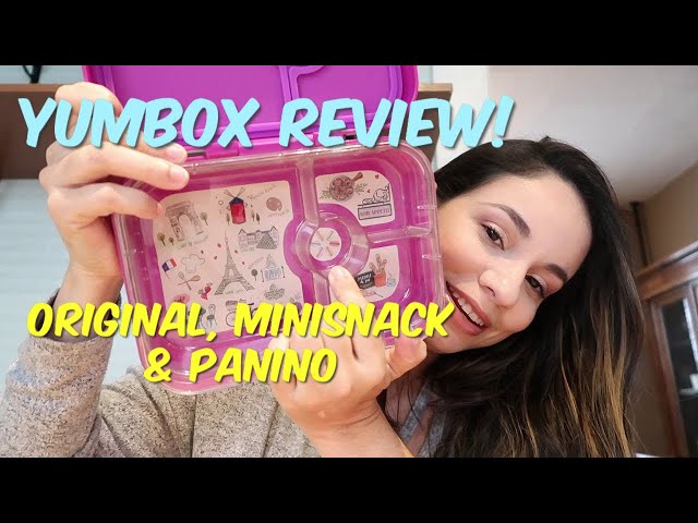 Yumbox Original Review: Creative Design But Shows Scratches