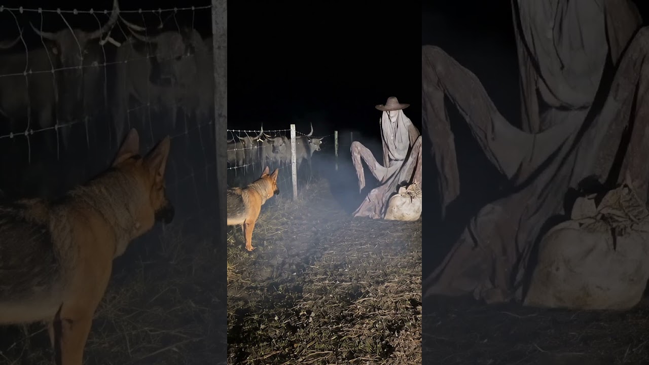 Silbón parte 2 captado por cámara rural!