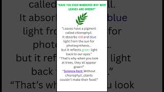 Why Are Leaves Green? 🍃 | Simple Science Explained in 30 Seconds