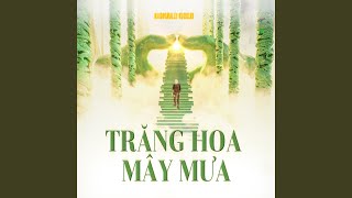 Trăng Hoa Mây Mưa (Remix)
