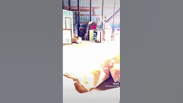 Junk Removal Magic in Action #junkremoval #beforeandafter