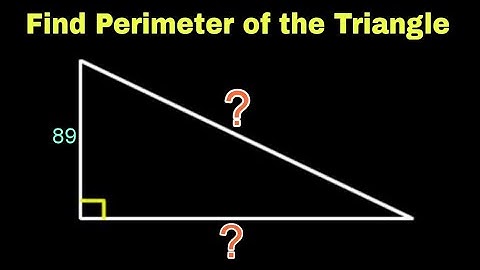🟠 Find the Perimeter of the Right Triangle | Olympiad Geometry Questions