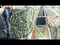 how to create primitive bamboo bag use small bamboo to create amazing bag