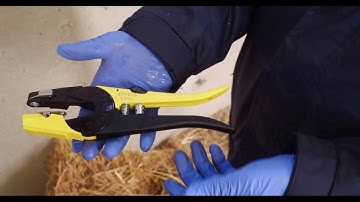 How to Apply the Allflex Official Tissue Tag supplied by  Mullinahone Co-op