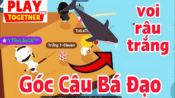 Play Together | Góc Câu Cá Voi Râu Trắng 100% Thành Công