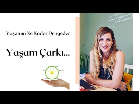 Video: Yaşam Dengesi Çarkı. Kişisel Gelişim Planlarını Teşhis Etmek Ve Oluşturmak Için Mükemmel Bir Yöntem