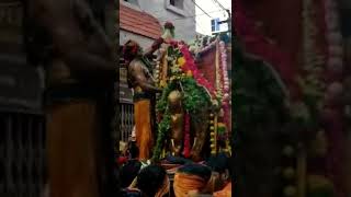 Madurai Meenakshi Amman Tirukalyanam Theirottam