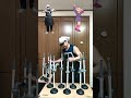 トイレの詰まり直す道具で「No thank Cute!」一人奏ジョニー(スッポン・ホイッスル) #しぐれうい