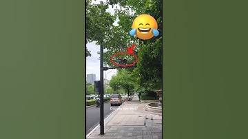 Suspicious Cat: The Unexpected CCTV Guard!