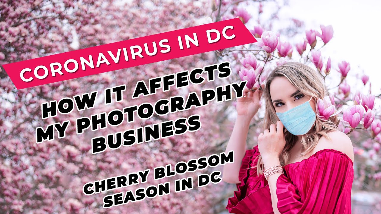 How Coronavirus Affects My Photography Business during Cherry Blossom Season in DC