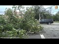 Tropical Storm Isaias, Wind Damage,  Nassau County, NY - 8/4/2020