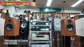 AkibaRecommendation Dynamic Audio 5555 - YouTube