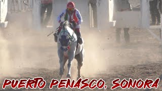 Carreras de Caballos en Puerto Peñasco 04 de Junio 2023