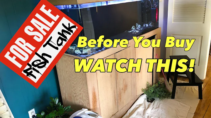 5 Aquarium Buying Tips - Before You Buy a Fish Tank - WATCH THIS!