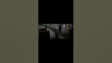 سورة المؤمنون الشيخ ياسر الدوسري 🤍#قران_كريم #quran #ياسر_الدوسري #اكسبلور #اكسبلور_فولو
