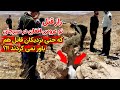 راز قتل نو عروس افغان در سیرجان که حتی نزدیکان قاتل هم باور نمی کردند راز قتل نو عروس افغان در سیرجان که حتی نزدیکان قاتل هم باور نمی کردند