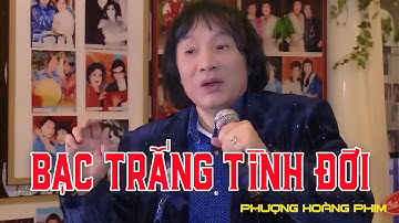 Tân Cổ Bạc Trắng Tình Đời - Nghệ sĩ Minh Vương | Bài Tân Cổ Hay Nhất