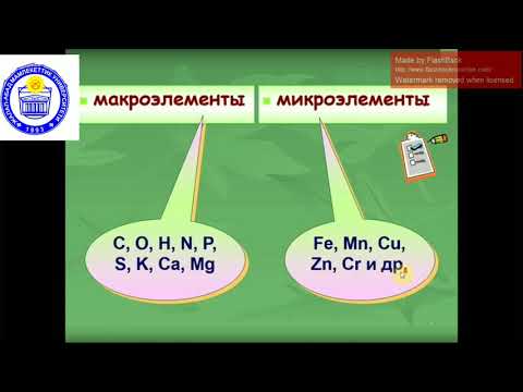 Video: Пияздын кабыгы өсүмдүктөр үчүн жер семирткич катары: бакча үчүн жана жабык гүлдөр үчүн эң сонун кийим. Кантип талап кылуу жана үйдө колдонуу керек?