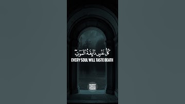 كل نفس ذائقة الموت القارئ عبد الرحمن مسعد سورة العنكبوت