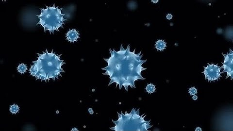 Virus In The Organism Stock Motion Graphics