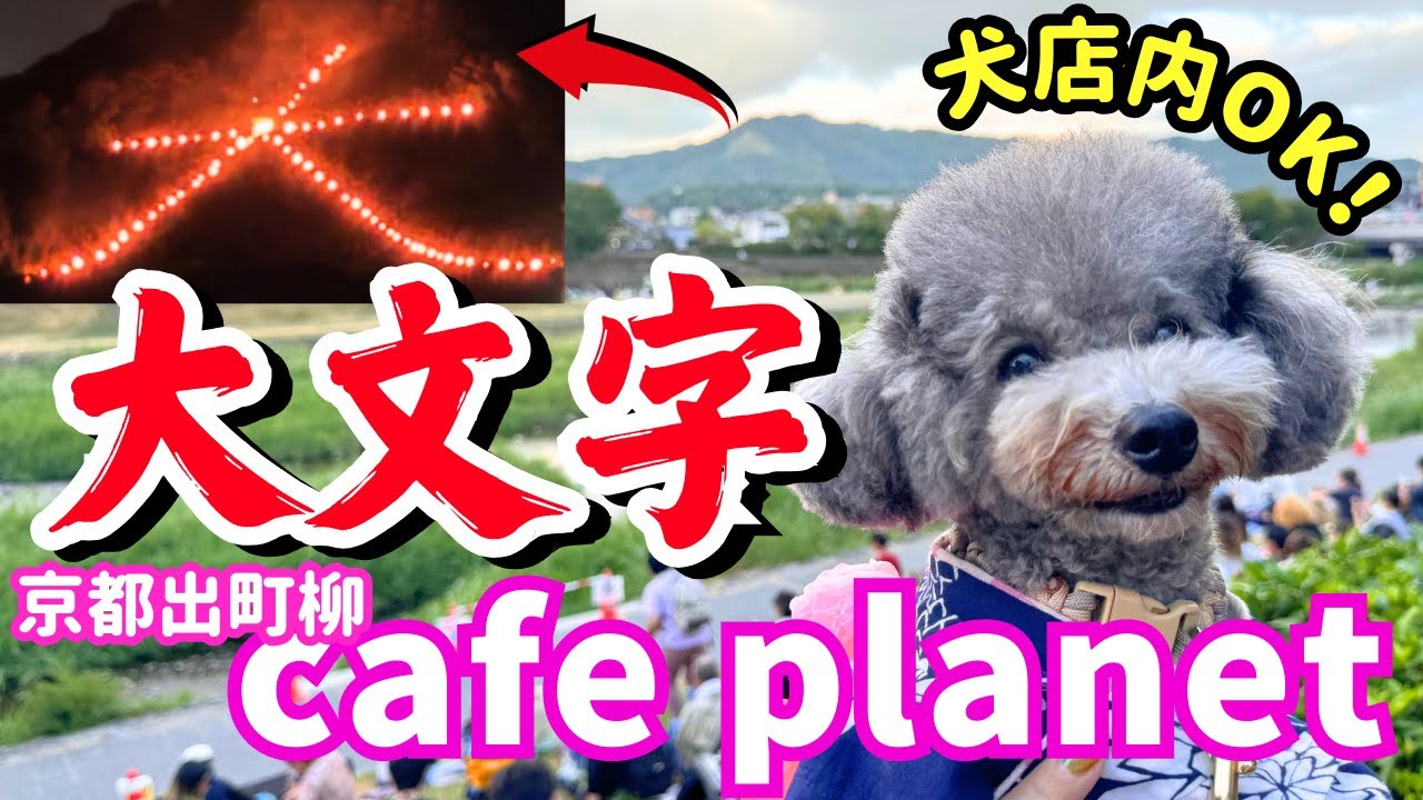 【予約半年待ち】京都五山送り火はここでみるのが一番💕【犬と行けるカフェ】 cafe planetがすごかった！【カフェ プラネット】鴨川・出町柳