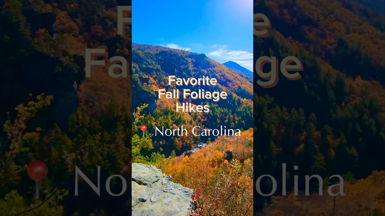 5 Bucket List NC Hikes for Fall Foliage