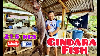 Igit-Igit Fish | SlowJigging |Palawan Fishing Buddy @VIETNAMFISHINGTVC