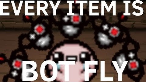 Every Item Is BOT FLY
