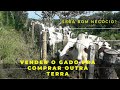 Vender o gado pra comprar uma terra maior.