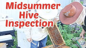 Bijenhouden: Ramen lezen en uw bijenvolk beoordelen voor een inspectie midden in de zomer