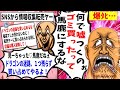 【転売ヤー爆死】ネット民の嘘情報に騙されてゴミを購入した転売ヤーのざまぁな末路をゆっくり解説【ドラゴンの迷路】