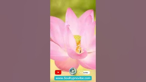 The Ultimate Guide to Manifesting Abundance and Inner Peace | Soul Hypno Vibe