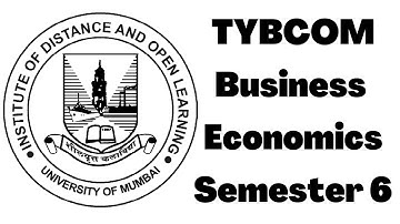 tybcom IDOL business Economics semester 6