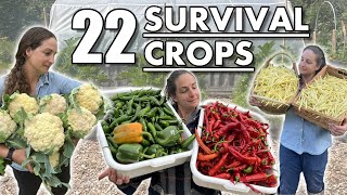 Feed Yourself For A YEAR!  Our Top Vegetable Crops To Grow by Wilderstead 6,430 views 1 year ago 9 minutes, 15 seconds